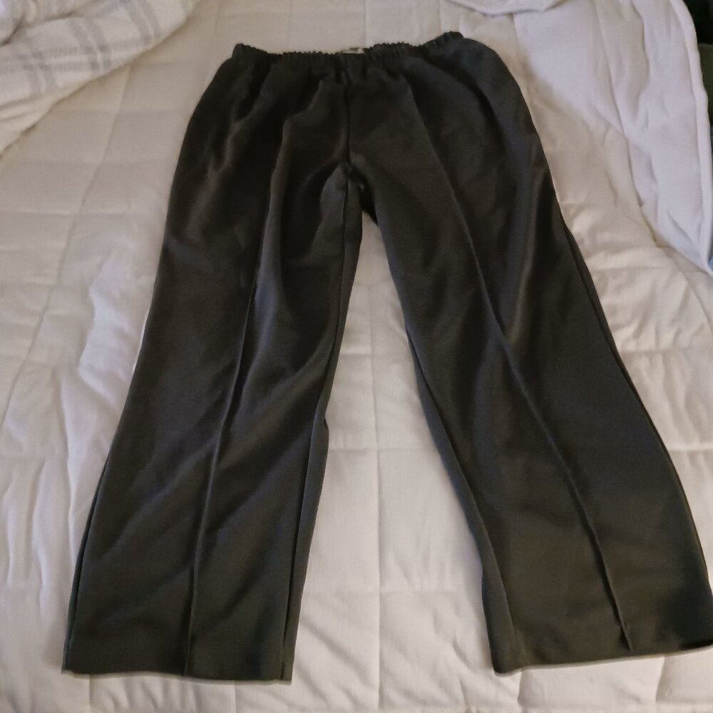 Woman Within Dress Slacks size 22w